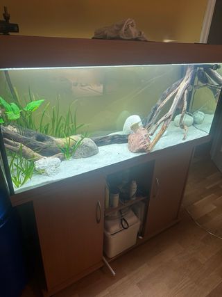 Acuario 240L