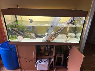 Acuario 240L