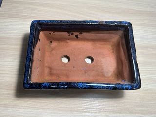 Set di 2 vasi bonsai con finitura esterna blu profondo