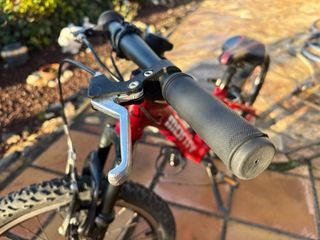 Bicicleta Monty 20 Pulgadas