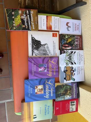 Lote de libros variados en buen estado