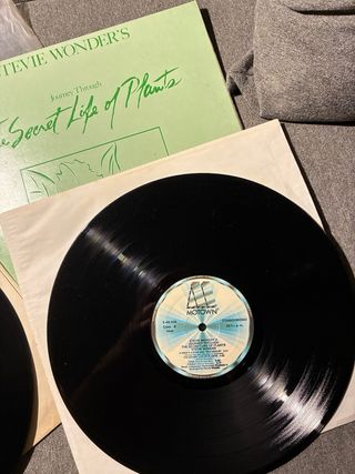 Vinilo Stevie Wonder