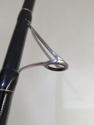 Daiwa Emblem Surf Hibrida