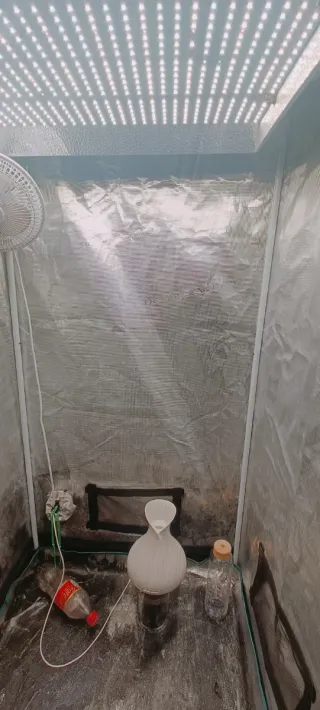 Grow Box con ventilazione maggiorata