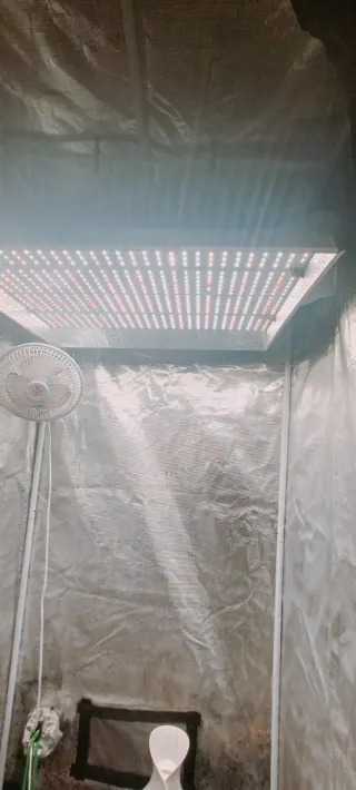 Grow Box con ventilazione maggiorata