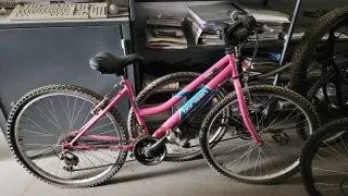 Bicicleta rosa Borisan