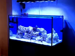 Urna para Acuario Marino 200 litros + Mesa