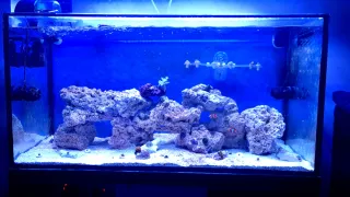 Urna para Acuario Marino 200 litros + Mesa