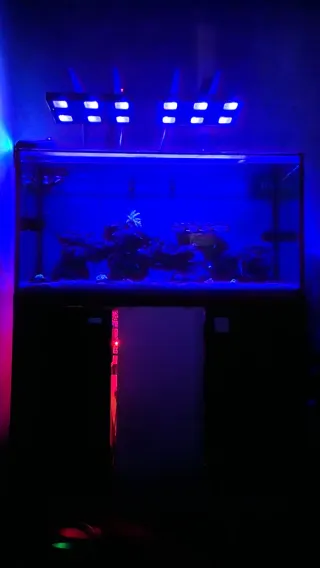 Urna para Acuario Marino 200 litros + Mesa