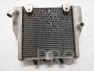 Radiador Agua Honda Forza 350