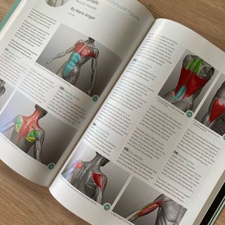 Libro Anatomy for 3D artists