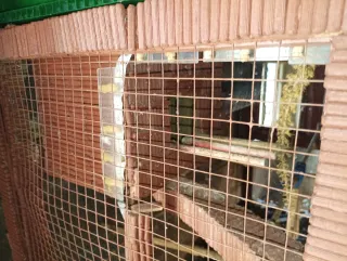 Jaula artesanal para pájaros