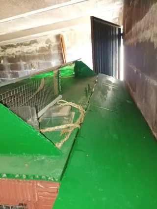 Jaula artesanal para pájaros