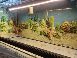 Terrario 100x50x50 cm