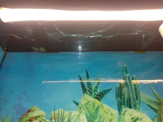 Terrario 100x50x50 cm