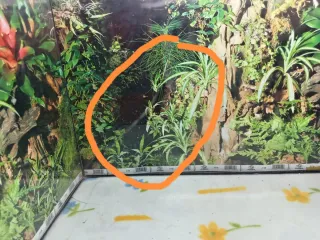 Terrario 100x50x50 + Kit doble calor