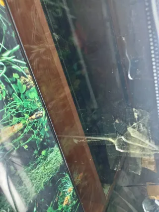 Terrario 100x50x50 + Kit doble calor