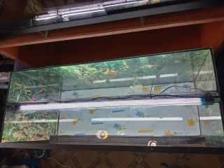 Terrario 100x50x50 + Kit doble calor