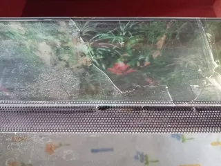 Terrario 100x50x50 + Kit doble calor