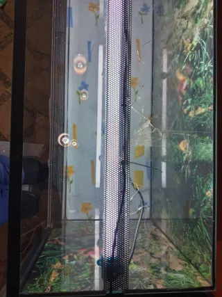 Terrario 100x50x50 + Kit doble calor