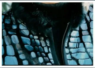 A Estrenar.Nueva Chaqueta imitación cocodrilo pelo