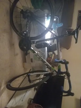 Bicicleta Coluer de carbono