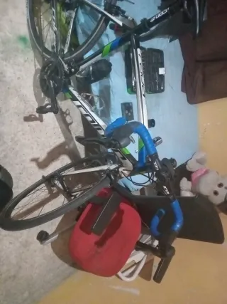 Bicicleta Coluer de carbono