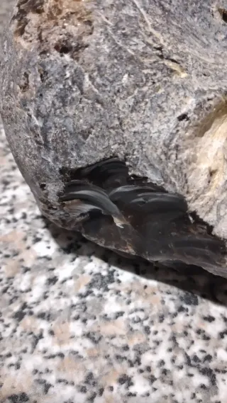 2 kg Minerale grezzo