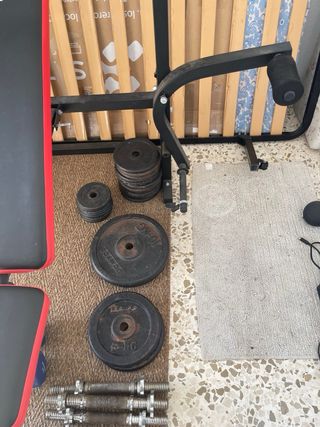 Banco de pesas y discos