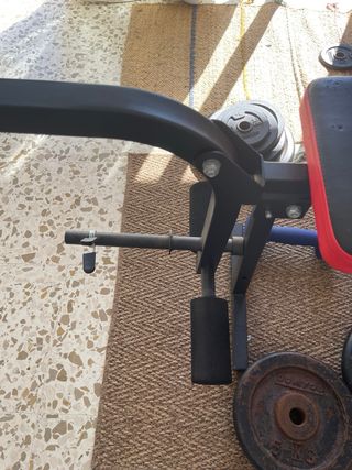 Banco de pesas y discos