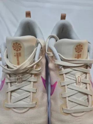 Zapatillas Nike Downshifter 12