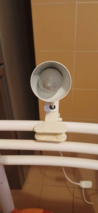Lampada con molla in plastica