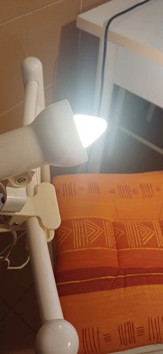 Lampada con molla in plastica