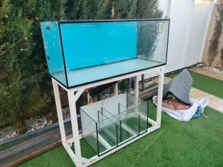 Acuario Marino 300L con Sump