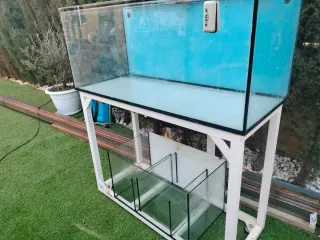 Acuario Marino 300L con Sump