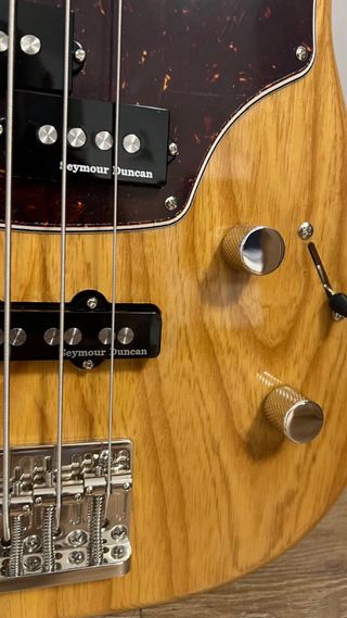 Godin Passion RG-4 Swamp Ash MN Bajo