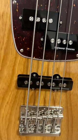 Godin Passion RG-4 Swamp Ash MN Bajo