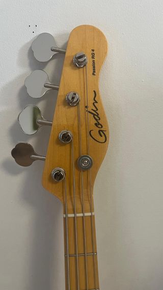 Godin Passion RG-4 Swamp Ash MN Bajo