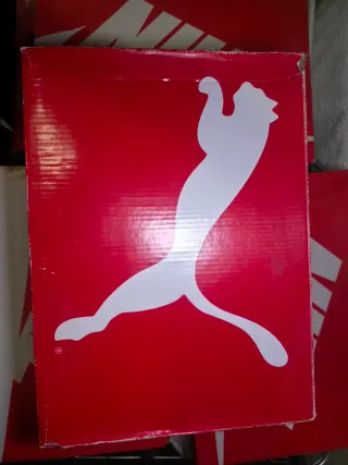 Zapatillas Puma REBOUND FUTURE EVO Unisex Rojas