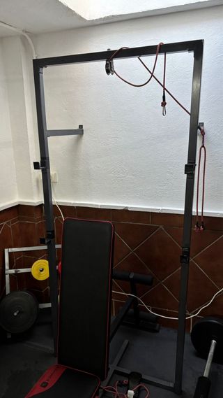 Barra de pesas con discos y agarre