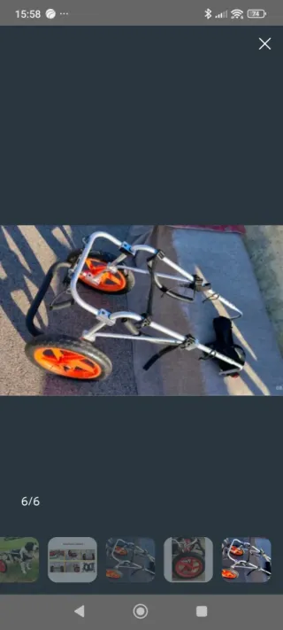 Silla de ruedas para perro grande