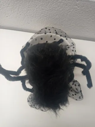 Passata ragno halloween