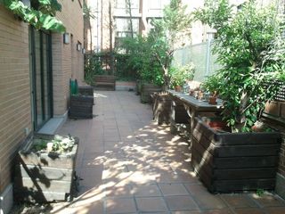 Chalet en alquiler en Nueva España en Madrid