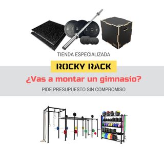 Banco Pesas Ejercicios y Musculación para Gimnasio