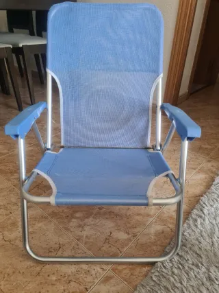 Silla de Playa Plegable Azul y Plateada