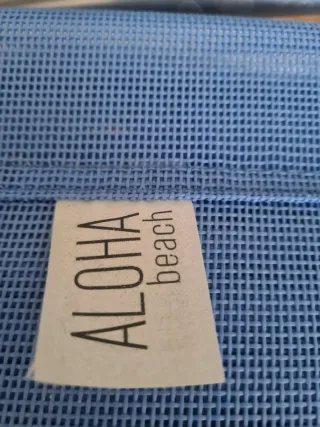 Silla de Playa Plegable Azul y Plateada