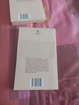 Tirant lo Blanc a Constantinoble