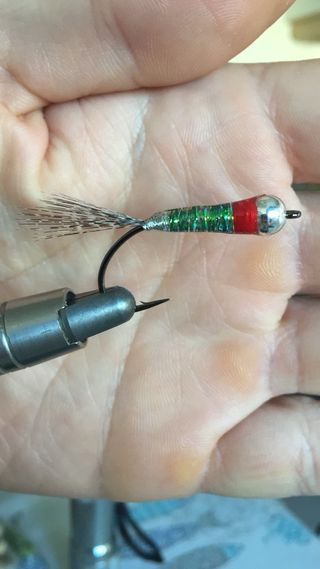 Ninfas de salmón para pesca