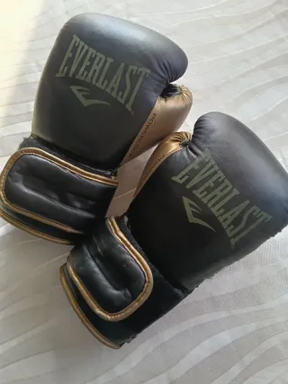 Guantes Boxeo Everlast Powerlock 14oz