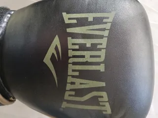 Guantes Boxeo Everlast Powerlock 14oz